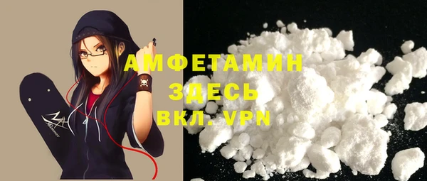 ГАЛЛЮЦИНОГЕННЫЕ ГРИБЫ Аркадак