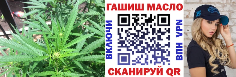 ТГК гашишное масло  где найти   Боготол 