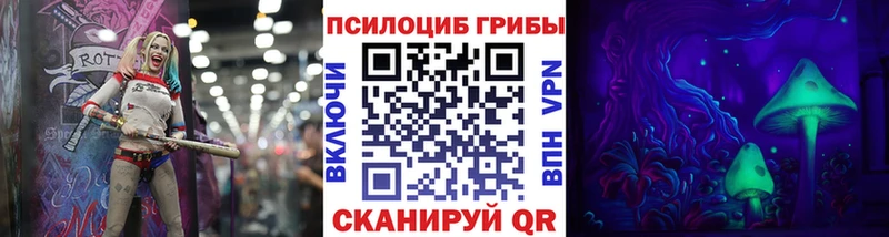 Псилоцибиновые грибы Psilocybine cubensis площадка как зайти Боготол