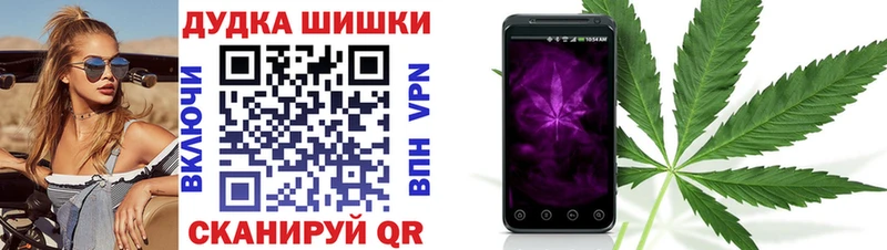 где продают   Боготол  Каннабис конопля 